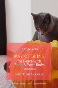 Be Curious to Change Your Relationship with Food and Your Body - Cake Is Magical Wellness