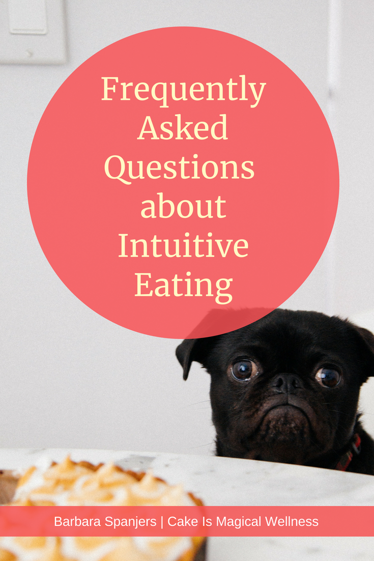 Pug looking at camera, in front of pie on table. Text overlay "Frequently Asked Questions about Intuitive Eating."